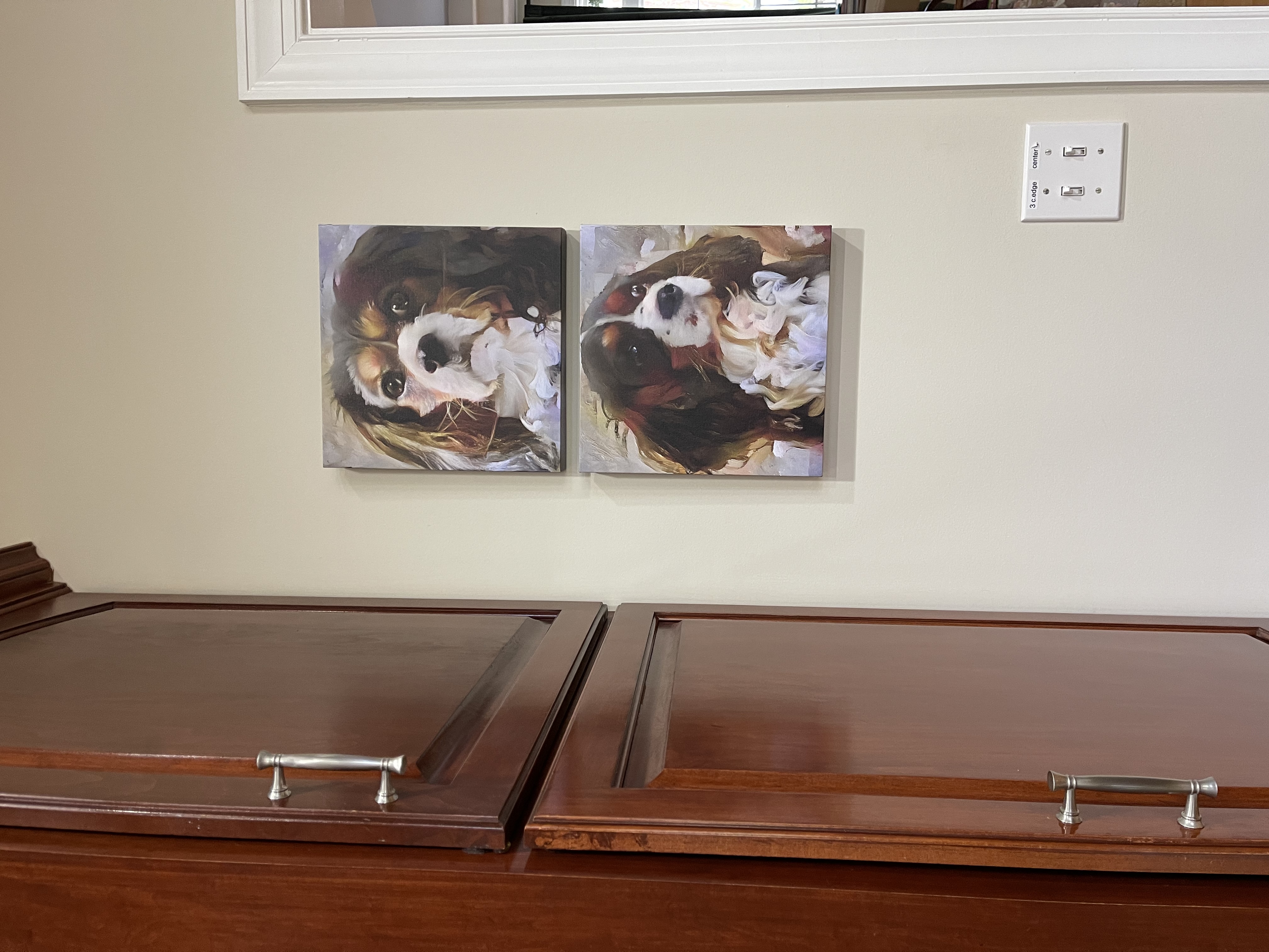 Customer review image