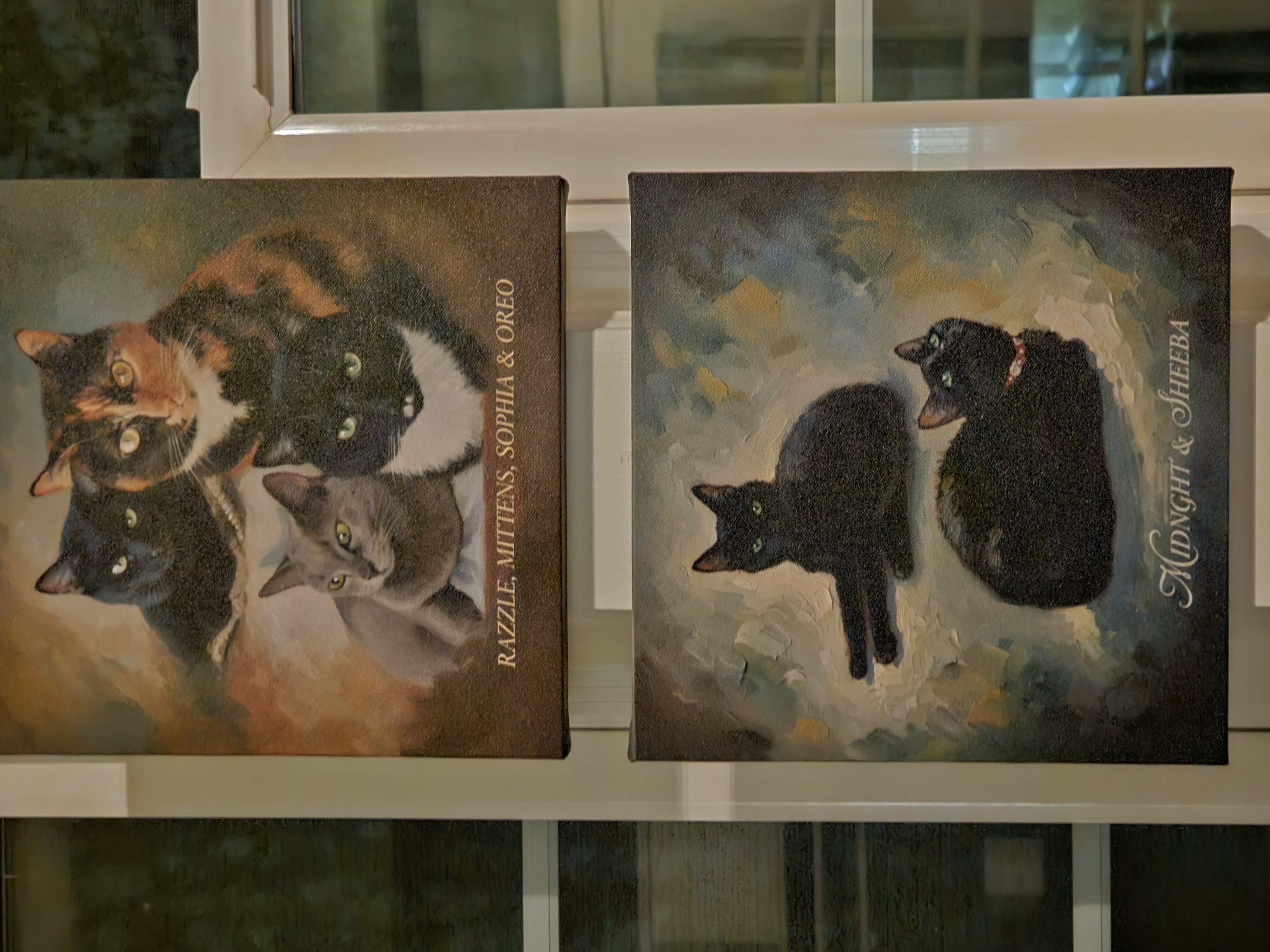 Pet Portraits