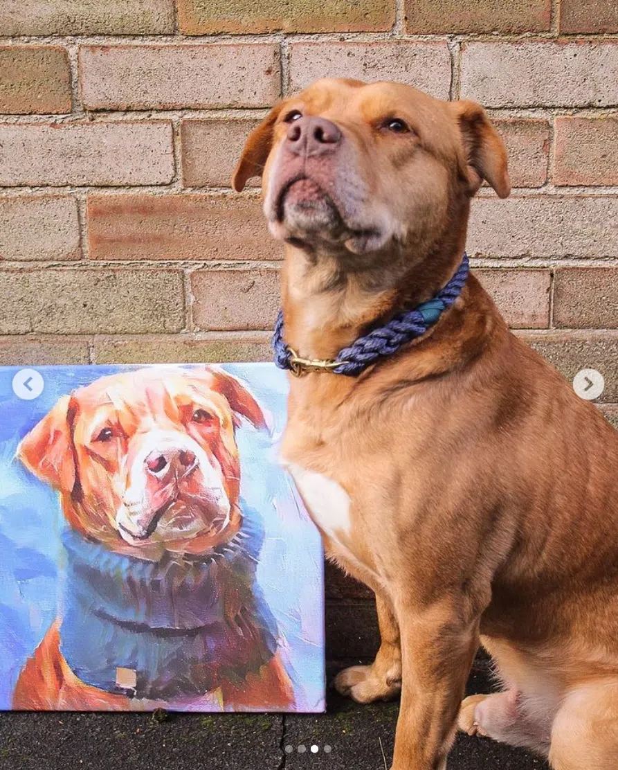 instagram post image