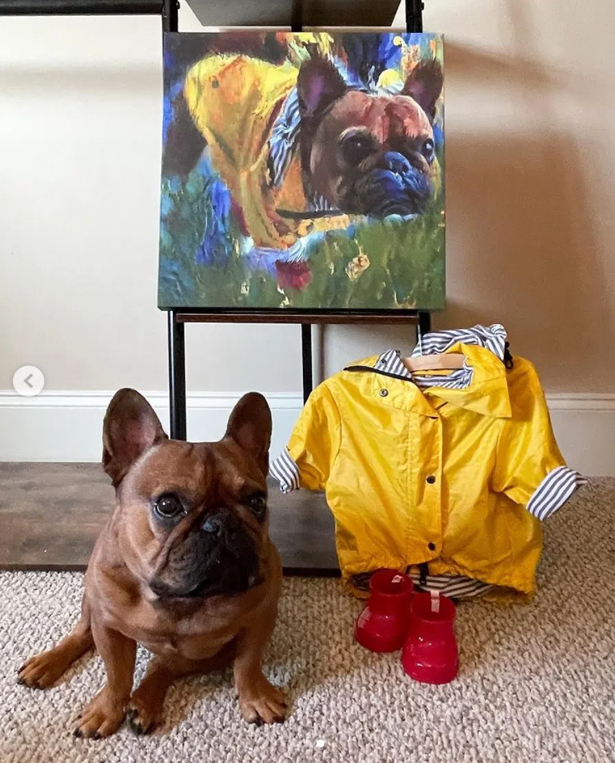 instagram post image